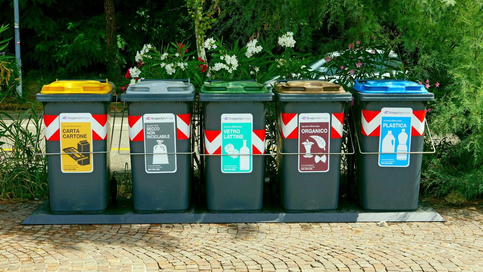 Manejo de desechos no peligrosos: orden, trazabilidad y prevención